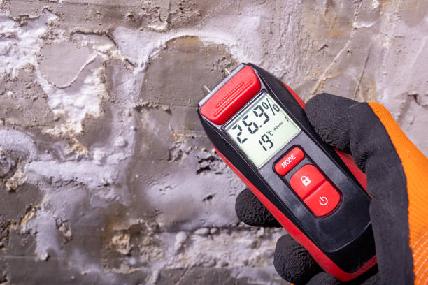 Certified Mold Removal in Pleasant Hills, MD